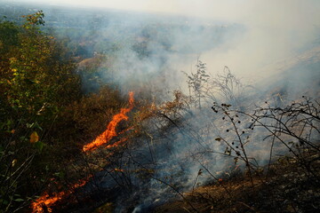 Fires in mountainous areas. Ignition of dry grass, shrubs and trees.