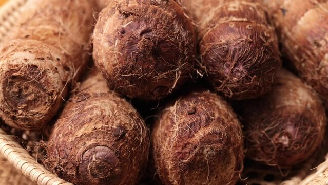 fresh organic taro root rotation	