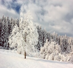 spectacular winter scenery, awesome sunset landscape, beautiful nature background in the mountains, Carpathian mountains, Ukraine, Europe