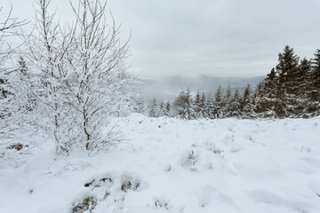 Schnee landschaft 