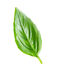 basil leaf isolated on transparent png