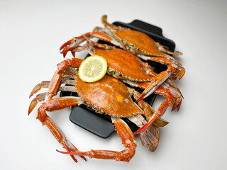 꽃게 blue crab