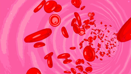 赤血球が流れる血液と血管内部のアニメ―ションのイラスト