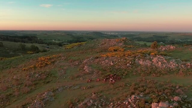 AERIAL - Gauchos and horses at sunset near Tandil, Argentina, wide spinning shot