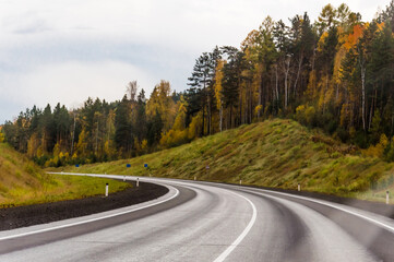 Fototapeta premium Autumn landscape. On the freeway. Travel by car. A sharp turn on the freeway. Beautiful autumn forest around the road. Nature of Eastern Siberia.