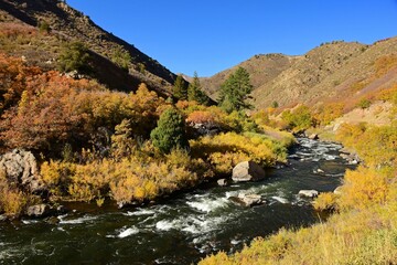 Beautiful fall scene with a mountain backdrop  next to the south platte river  in  waterton canyon, littleton, colorado  