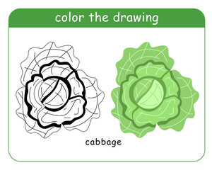 Coloring book for children. Cabbage in color and black and white. Vector illustration.