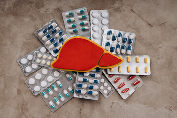 Liver model with pills, top view