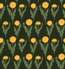Vector pattern with sketched yellow dandelions with leaves in row on dark green background. Botanical scrawl floral texture for fabrics.