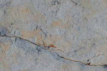 Light gray stone with orange spots. Stone texture