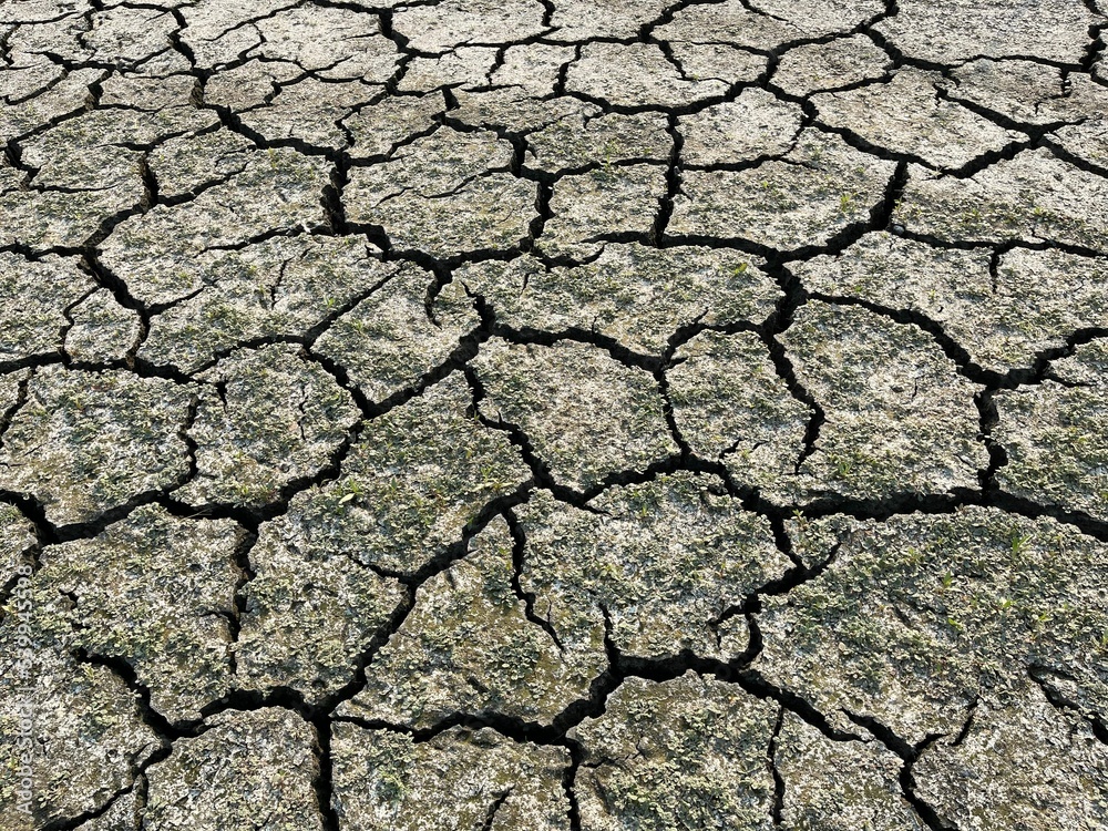 Canvas Prints Dry soil of Indian Valley Reservoir, Lake County, California, United States