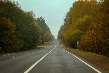 A road stretching into the horizon in autumn with yellow and green trees