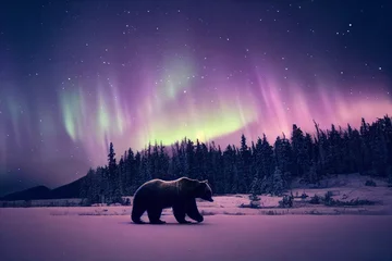 Poster Aurores boréales brown bear in winter landscape with aurora borealis