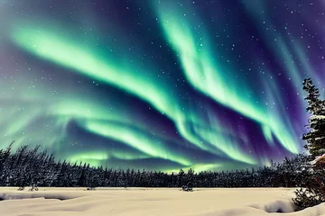 Keuken foto achterwand aurora borealis in winter landscape © XtravaganT