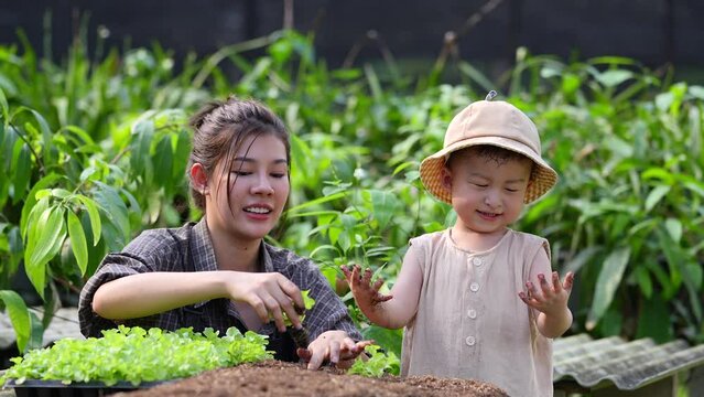 Mother and son toddler boy organic vegetable farm in summer.Mother with kid Harvesting Organic vegetable potatoes Cabbage and purple cabbage carrot farm at home.Home school kid learning 