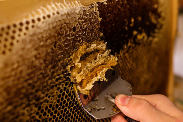 Uncapping honey from a filled frame