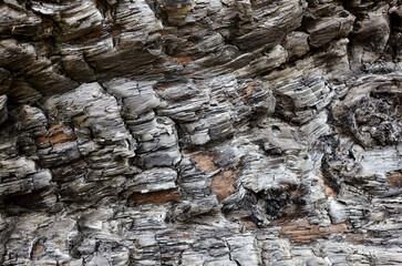 Burnt tree bark background. Tileable texture of burnt wood. Selective focus