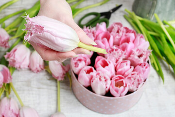 Florist at work. How to make beautiful dotted flower box with tulips