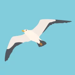 Fotobehang Cartoon atlantic seabird, seagulls flying on isolated white background. Sea, Ocean, Gull, bird in a vector flat style © Anastasiia
