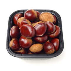 chestnut on a white background