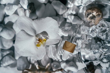 White orchid with facial pipette oil, essence cosmetic product on surface of water bottom with white stones and shells