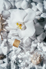 White orchid with facial pipette oil, cosmetic product on surface of water bottom with white stones and shells. Vertical