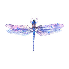 Hand drawn watercolor illustration of blue dragonfly isolated on white background.