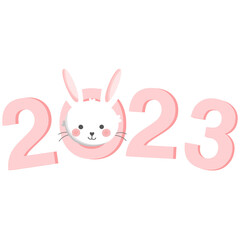 2023 year of the rabbit