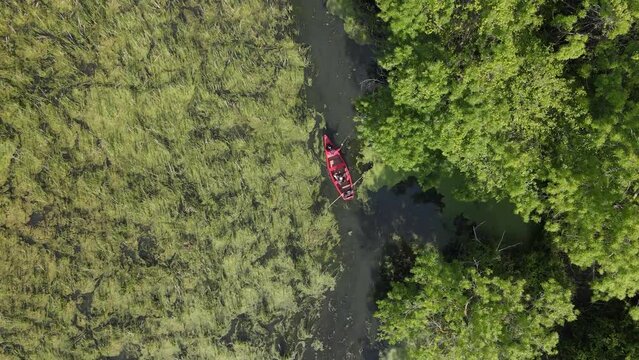 Flooded forest is forested areas covered by shallow water. These forests are ecologically, biologically and economically important forests. Therefore, it has an important function for ecosystem integr