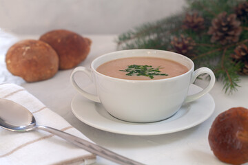 A plate of fresh delicious homemade mushroom cream soup.