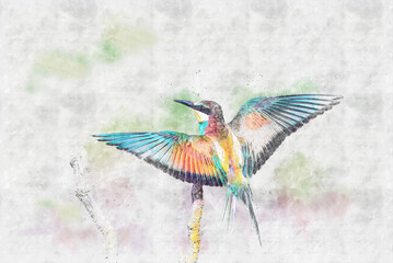 bee-eaters sitting on a branch, birds of paradise, rainbow colors, close-up ; Watercolor sketch work.