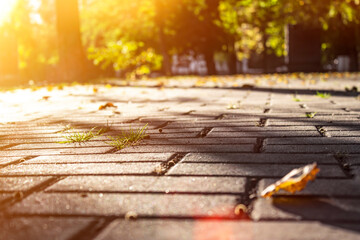 Beautiful autumn landscape with yellow trees and sun. Colorful foliage in the park. Falling leaves natural background