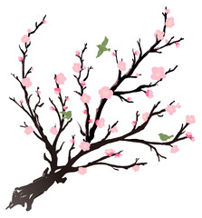 梅とうぐいす　イラスト