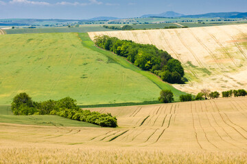 Obraz premium landscape called Moravian Tuscany, Southern Moravia, Czech Republic