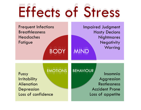 Stress Diagram With Impact On Body, Mind, Behaviour And Emotions