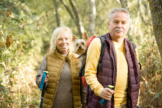 Couple carrying a senior small dog in the backpack during a trek