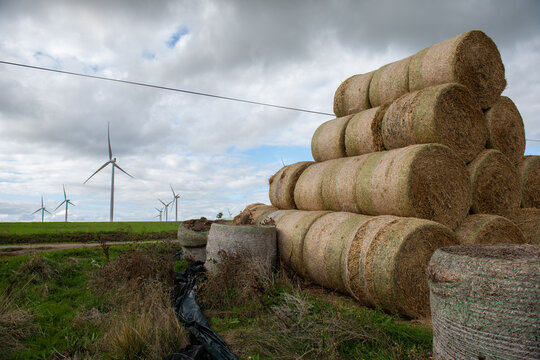 entrep&ocirc;ts de fourage