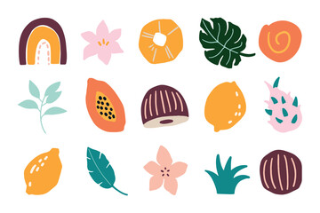 Abstract colorful simple geometric tropical shapes, boho shapes. Monstera leaves, flowers, coconut, papaya fruit hand painted illustration collection