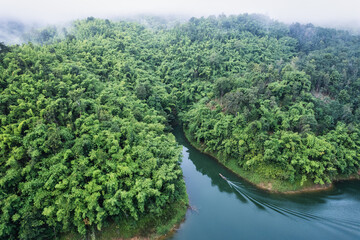 Foggy river and boat sailing in tropical rainforest of abundance ecosystem in the morning