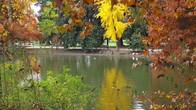 Colored trees and body of water in the Jardin Public park in Autumn in Bordeaux, France