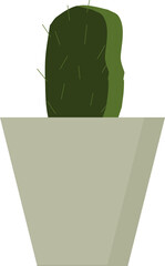 cactus in a pot