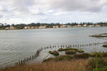 Ilhávo, Parque das merendas de Vista Alegre, Aveiro Portugal.