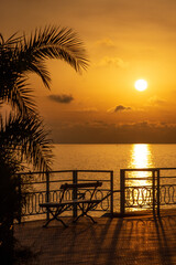 Dark palm trees and bench during the golden sunset at the seaside