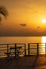 Dark palm trees and bench during the golden sunset at the seaside