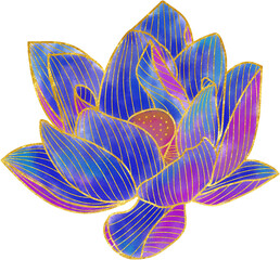 Hand drawn blue lotus with golden outline flower ornament