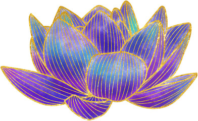 Hand drawn blue lotus with golden outline flower ornament