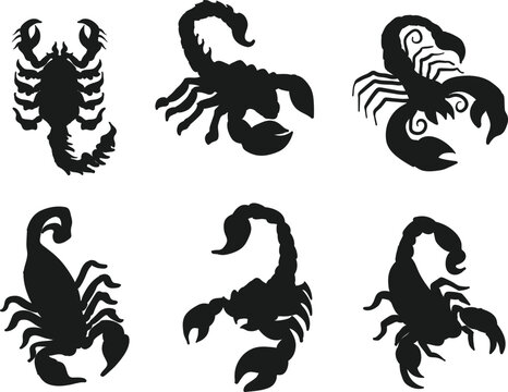 Scorpion collections isolated vector Silhouettes