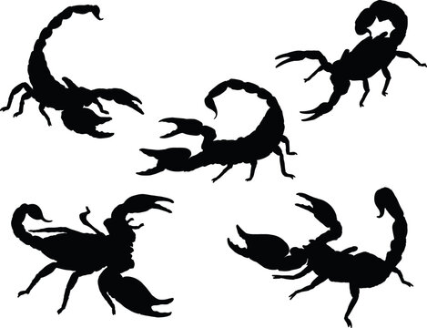 Scorpion collections isolated vector Silhouettes