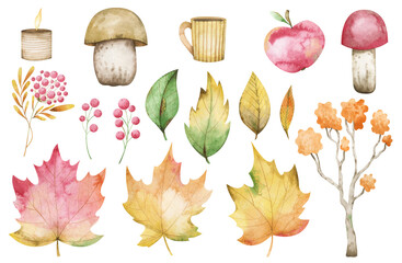 Watercolor set with maple leaves, berries, mushrooms, fall tree, foliage. Tender illustrations for printable decor, greeting cards, sublimation design