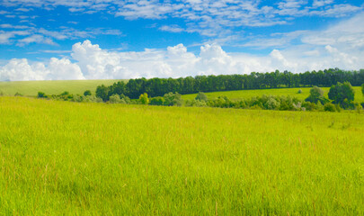 Green field panorama and blue sky. Wide photo.